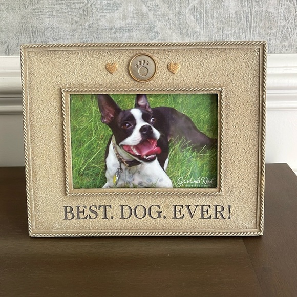 Grasslands Road Other - BEST. DOG. EVER. 4x6 Frame from Grasslands Road